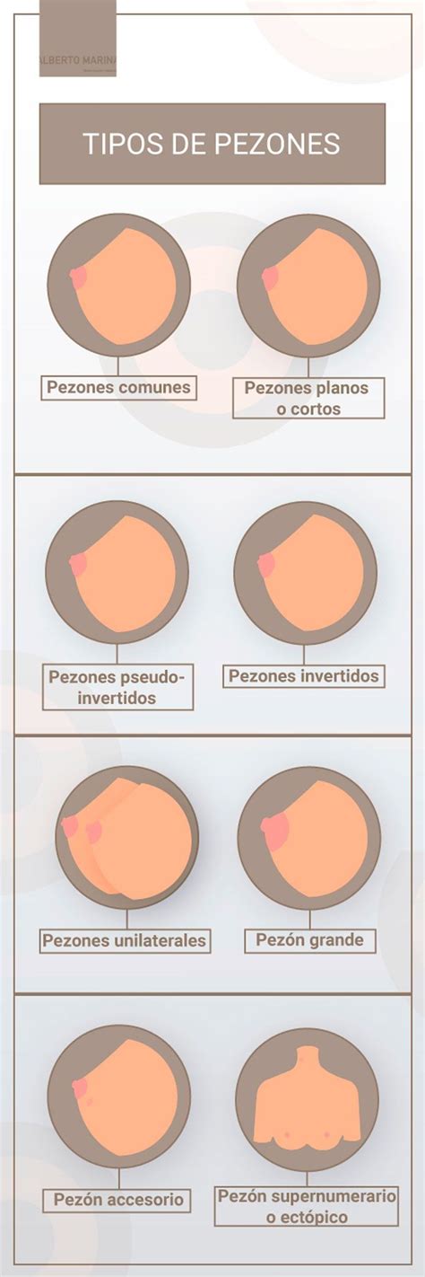 Todo sobre los tipos de pezones: cuántos tipos existen, su forma。